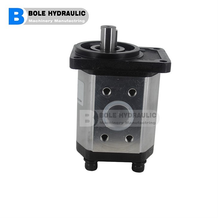 2PE Aluminium Gear Pumps Salami